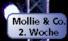 Mollie und Co. [12. März 2001]